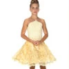 JERRY'S 147 GOLD DUST DANCE DRESS -Hockey Stick Hub image 1325